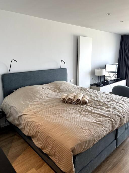 Suite 16 بلانكنبرخ المظهر الخارجي الصورة